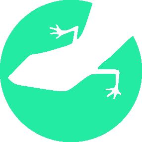 Lizard Global